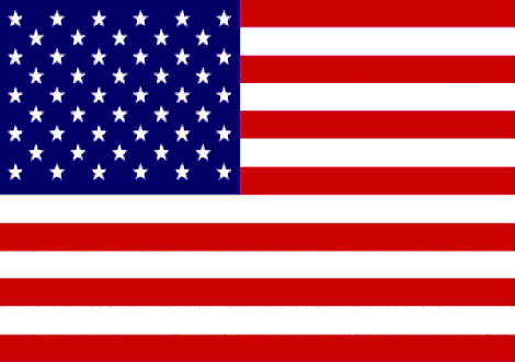 TWS/american-flag.gif
